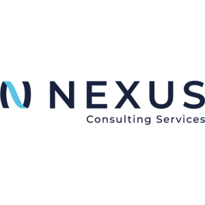 Nexusit Consulting Services